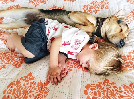 Η ιστορία αγάπης και ύπνου του μωρού και του σκύλου εξακολουθεί να λιώνει το Ιντερνετ -Μεγάλωσαν αλλά κοιμούνται ακόμη σφιχταγκαλιασμένοι [εικόνες] | iefimerida.gr 21