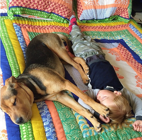 Η ιστορία αγάπης και ύπνου του μωρού και του σκύλου εξακολουθεί να λιώνει το Ιντερνετ -Μεγάλωσαν αλλά κοιμούνται ακόμη σφιχταγκαλιασμένοι [εικόνες] | iefimerida.gr 22