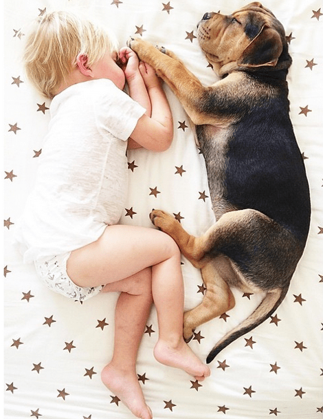 Η ιστορία αγάπης και ύπνου του μωρού και του σκύλου εξακολουθεί να λιώνει το Ιντερνετ -Μεγάλωσαν αλλά κοιμούνται ακόμη σφιχταγκαλιασμένοι [εικόνες] | iefimerida.gr 23