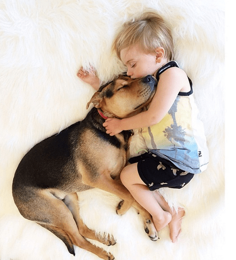 Η ιστορία αγάπης και ύπνου του μωρού και του σκύλου εξακολουθεί να λιώνει το Ιντερνετ -Μεγάλωσαν αλλά κοιμούνται ακόμη σφιχταγκαλιασμένοι [εικόνες] | iefimerida.gr 24