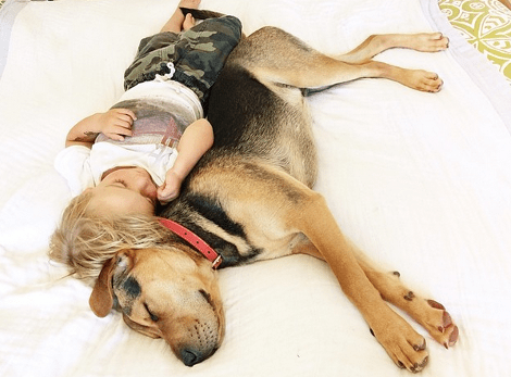 Η ιστορία αγάπης και ύπνου του μωρού και του σκύλου εξακολουθεί να λιώνει το Ιντερνετ -Μεγάλωσαν αλλά κοιμούνται ακόμη σφιχταγκαλιασμένοι [εικόνες] | iefimerida.gr 26