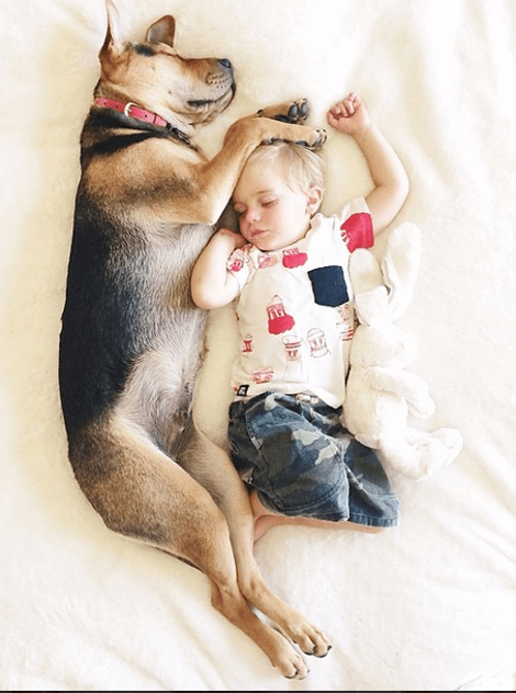 Η ιστορία αγάπης και ύπνου του μωρού και του σκύλου εξακολουθεί να λιώνει το Ιντερνετ -Μεγάλωσαν αλλά κοιμούνται ακόμη σφιχταγκαλιασμένοι [εικόνες] | iefimerida.gr 2