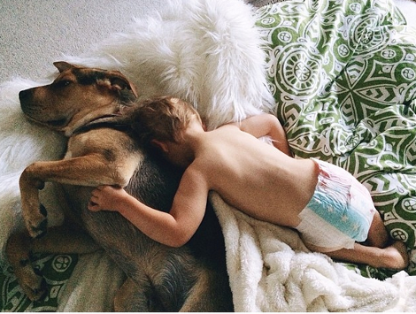 Η ιστορία αγάπης και ύπνου του μωρού και του σκύλου εξακολουθεί να λιώνει το Ιντερνετ -Μεγάλωσαν αλλά κοιμούνται ακόμη σφιχταγκαλιασμένοι [εικόνες] | iefimerida.gr 3
