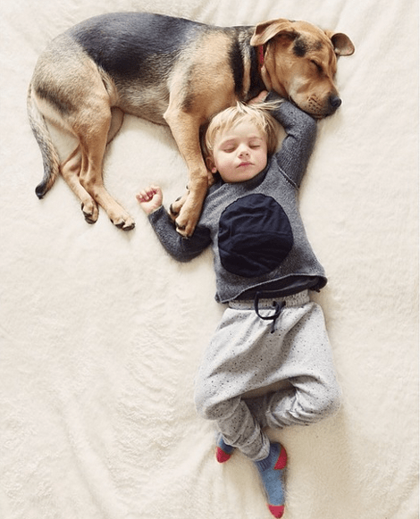 Η ιστορία αγάπης και ύπνου του μωρού και του σκύλου εξακολουθεί να λιώνει το Ιντερνετ -Μεγάλωσαν αλλά κοιμούνται ακόμη σφιχταγκαλιασμένοι [εικόνες] | iefimerida.gr 5