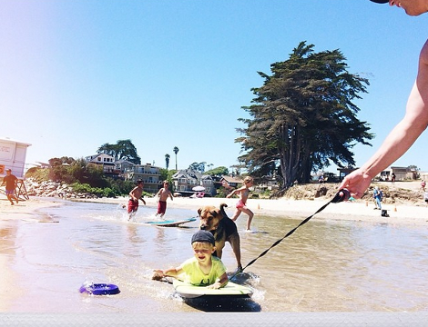 Η ιστορία αγάπης και ύπνου του μωρού και του σκύλου εξακολουθεί να λιώνει το Ιντερνετ -Μεγάλωσαν αλλά κοιμούνται ακόμη σφιχταγκαλιασμένοι [εικόνες] | iefimerida.gr 6