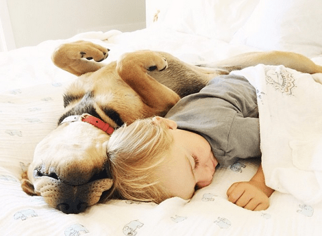 Η ιστορία αγάπης και ύπνου του μωρού και του σκύλου εξακολουθεί να λιώνει το Ιντερνετ -Μεγάλωσαν αλλά κοιμούνται ακόμη σφιχταγκαλιασμένοι [εικόνες] | iefimerida.gr 7