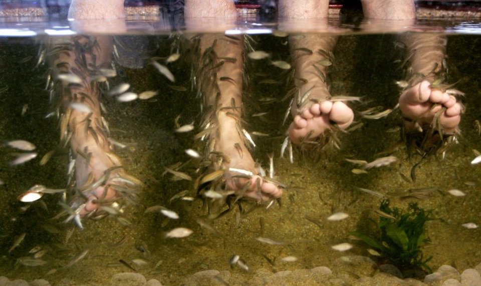 Οι τρέλες που κάνουν οι γυναίκες για την ομορφιά - Θεραπείες με χρυσό, μπαχαρικά, φίδια και ενέσεις [εικόνες] | iefimerida.gr 2