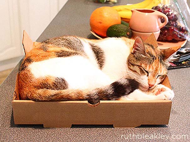 Απίστευτα πράγματα που μπορείτε να κατασκευάσετε με άδεια κουτιά πίτσας [εικόνες] | iefimerida.gr 7