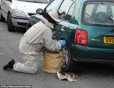 Σκηνές από ταινία τρόμου στο κέντρο του Λονδίνου: Χιλιάδες μέλισσες κάλυψαν αυτοκίνητα και περαστικούς [εικόνες] | iefimerida.gr 4