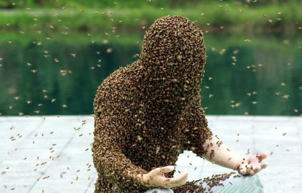 Κινέζος έμεινε καλυμμένος με 60 κιλά μέλισσες για 53 λεπτά -Το περίεργο παγκόσμιο ρεκόρ [εικόνες] | iefimerida.gr 0