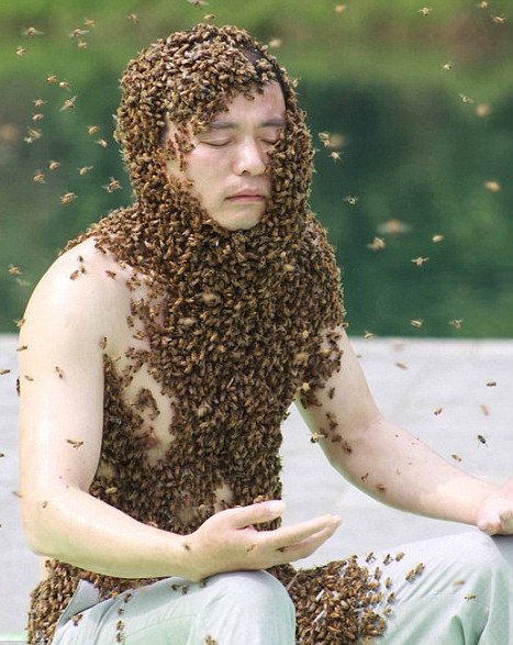 Κινέζος έμεινε καλυμμένος με 60 κιλά μέλισσες για 53 λεπτά -Το περίεργο παγκόσμιο ρεκόρ [εικόνες] | iefimerida.gr 2
