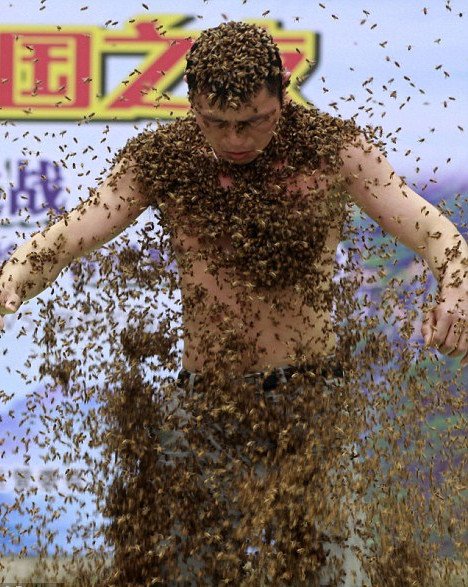 Κινέζος έμεινε καλυμμένος με 60 κιλά μέλισσες για 53 λεπτά -Το περίεργο παγκόσμιο ρεκόρ [εικόνες] | iefimerida.gr 3