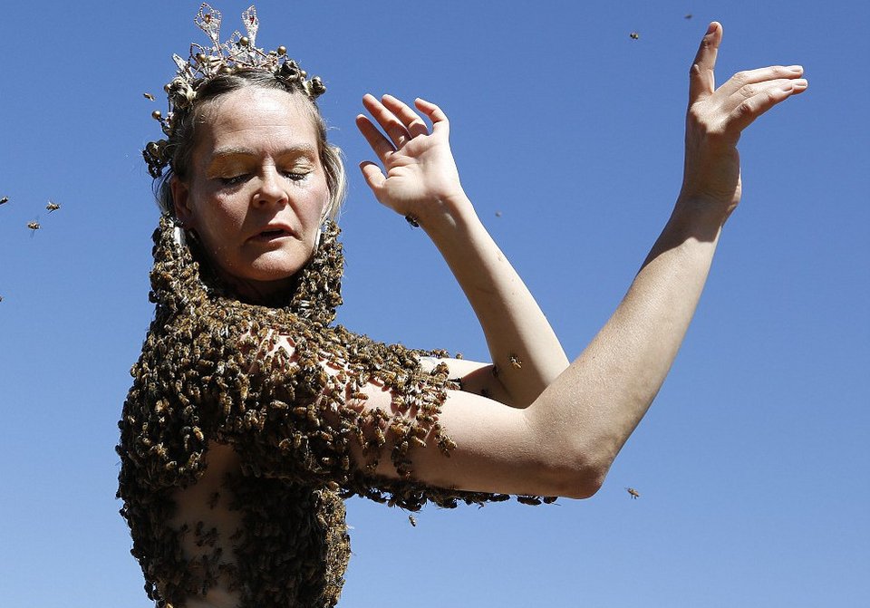 Η πιο ανατριχιαστική «μπλούζα» -Βάζει 12.000 μέλισσες πάνω στο γυμνό κορμί της και χορεύει [εικόνες & βίντεο] | iefimerida.gr 6