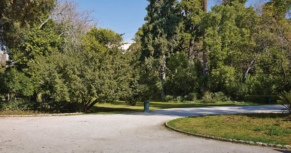 To Πριν και το Μετά του Εθνικού Κήπου: Η νέα εικόνα, οι παρεμβάσεις και η επιστροφή της θέας στην Ακρόπολη [εικόνες] | iefimerida.gr 5