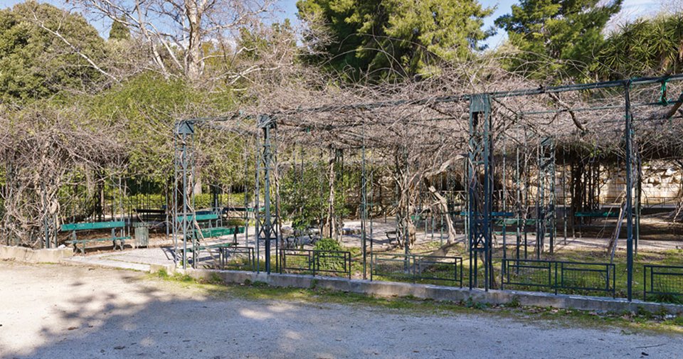 To Πριν και το Μετά του Εθνικού Κήπου: Η νέα εικόνα, οι παρεμβάσεις και η επιστροφή της θέας στην Ακρόπολη [εικόνες] | iefimerida.gr 11