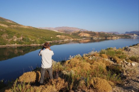 Ο διάσημος «κροκοδειλάκιας» μας είπε ότι ο Σήφης μπορεί να είναι γυναίκα και έφυγε -Γάτα ο κροκόδειλος [εικόνες & βίντεο] | iefimerida.gr 0