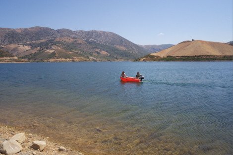 Ο διάσημος «κροκοδειλάκιας» μας είπε ότι ο Σήφης μπορεί να είναι γυναίκα και έφυγε -Γάτα ο κροκόδειλος [εικόνες & βίντεο] | iefimerida.gr 4