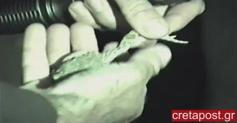 Ο διάσημος «κροκοδειλάκιας» μας είπε ότι ο Σήφης μπορεί να είναι γυναίκα και έφυγε -Γάτα ο κροκόδειλος [εικόνες & βίντεο] | iefimerida.gr 1