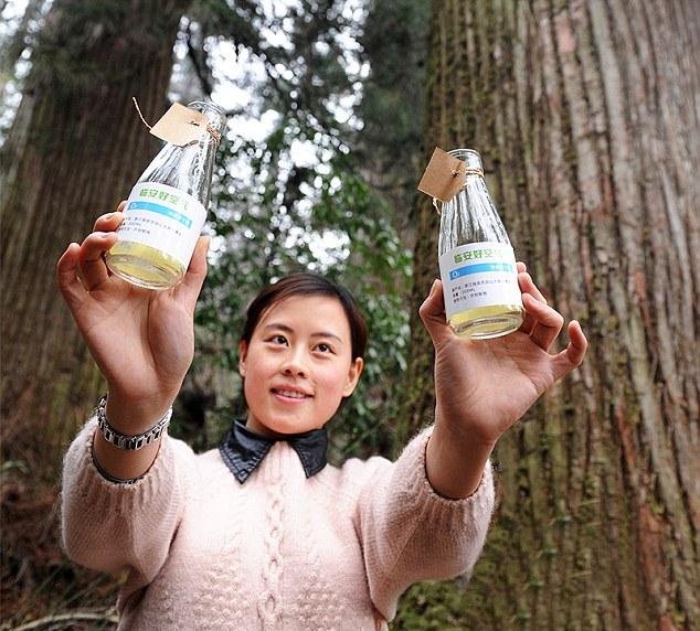 Στα όρια της ασφυξίας η Κίνα -Εφτιαξαν σταθμούς με καθαρό αέρα στους δρόμους [εικόνες] | iefimerida.gr 6