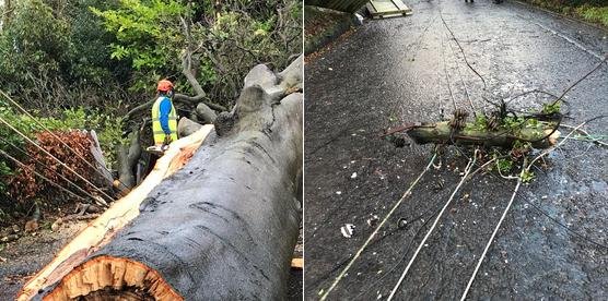 Η οργή της καταιγίδας Eleanor ξέσπασε στη Βρετανία: 100.000 νοικοκυριά χωρίς ρεύμα, χάος στις μετακινήσεις [εικόνες & βίντεο]  | iefimerida.gr 1