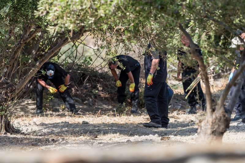 Θαμμένος κάτω από δέντρο ο μικρός Μπεν; -Φυτεύτηκε λίγο μετά την εξαφάνισή του | iefimerida.gr 0