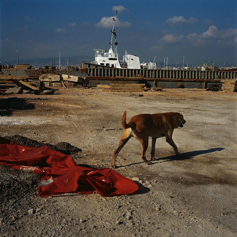 Μέτοικοι, τσιγγάνοι, περιπλανώμενοι: Μια Αθήνα κόκκινη, δραστήρια, κρυφή, μυστική, όπως δεν την έχετε ποτέ ξαναδεί [εικόνες] | iefimerida.gr 0