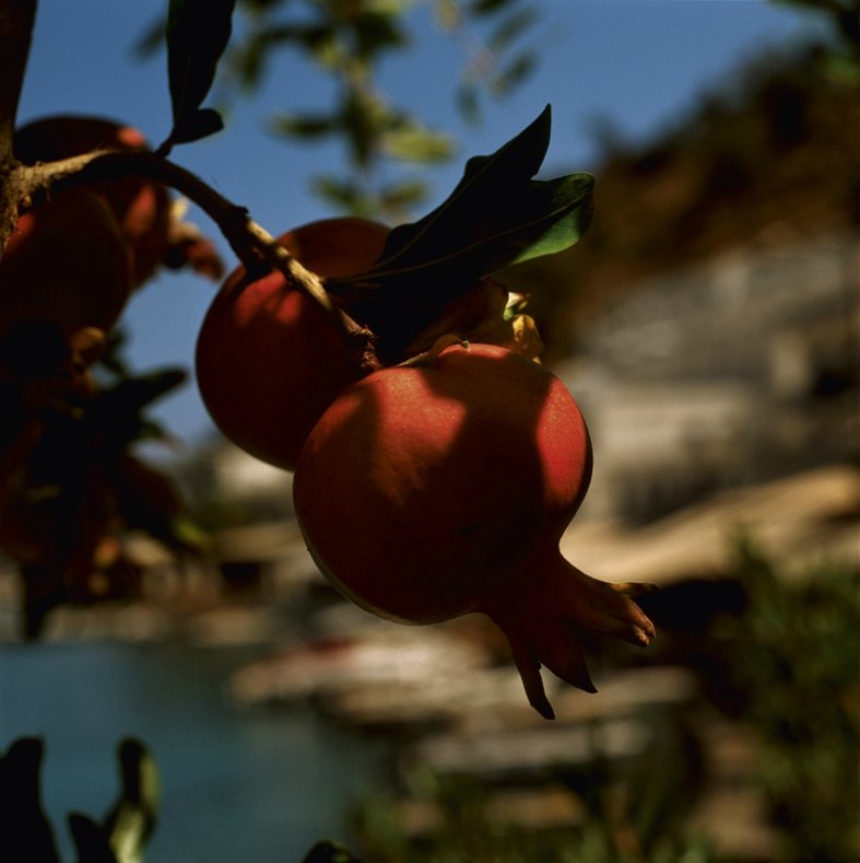 Μέτοικοι, τσιγγάνοι, περιπλανώμενοι: Μια Αθήνα κόκκινη, δραστήρια, κρυφή, μυστική, όπως δεν την έχετε ποτέ ξαναδεί [εικόνες] | iefimerida.gr 1