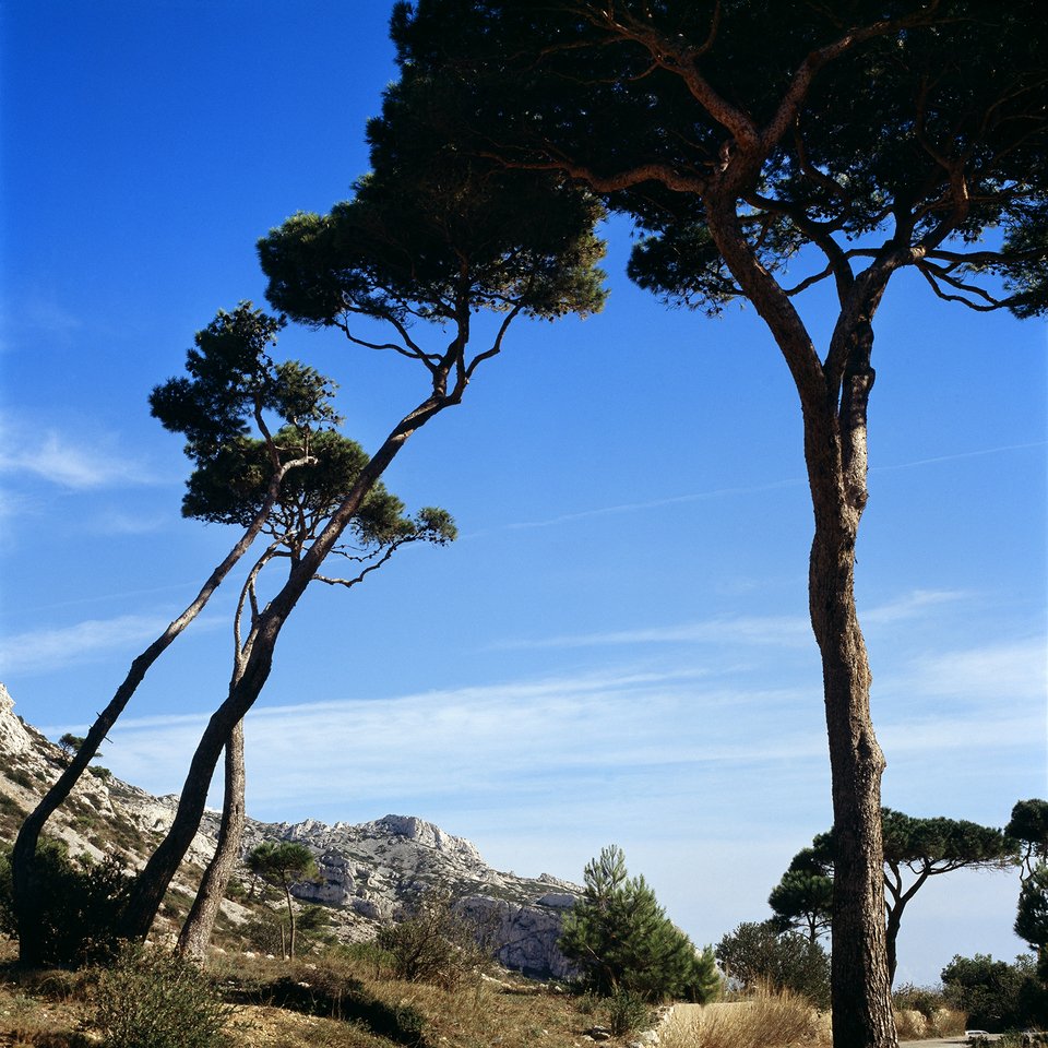 Μέτοικοι, τσιγγάνοι, περιπλανώμενοι: Μια Αθήνα κόκκινη, δραστήρια, κρυφή, μυστική, όπως δεν την έχετε ποτέ ξαναδεί [εικόνες] | iefimerida.gr 4