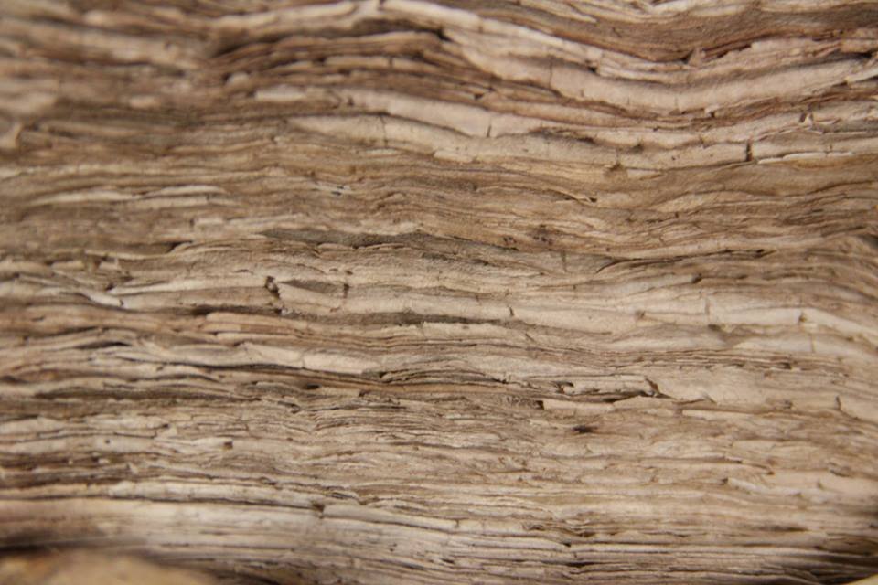 Δέος και ομορφιά: Στο Μουσείο Μπενάκη την ώρα που στήνεται η έκθεση για τον Ελ Γκρέκο [εικόνες] | iefimerida.gr 6