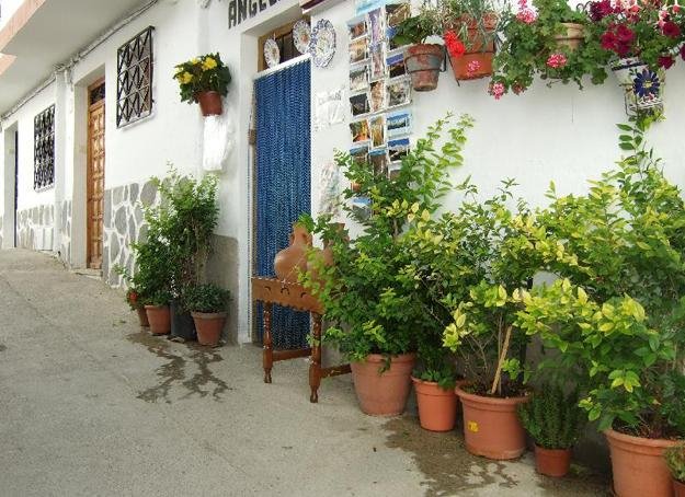 Οι αυλές των σπιτιών στολίζονται για να υποδεχθούν το νέο έτος