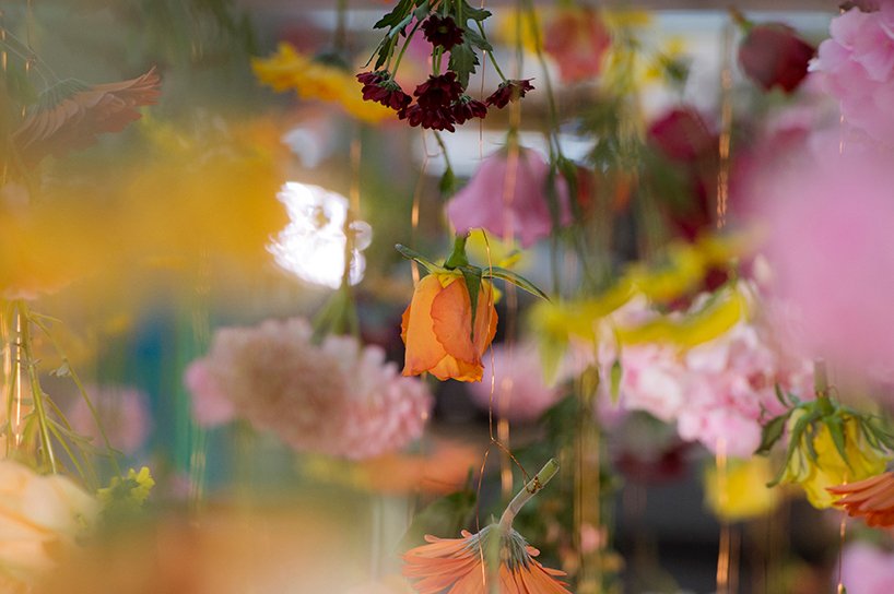 Οι «κρεμαστοί κήποι» του Βερολίνου [εικόνες] | iefimerida.gr 11