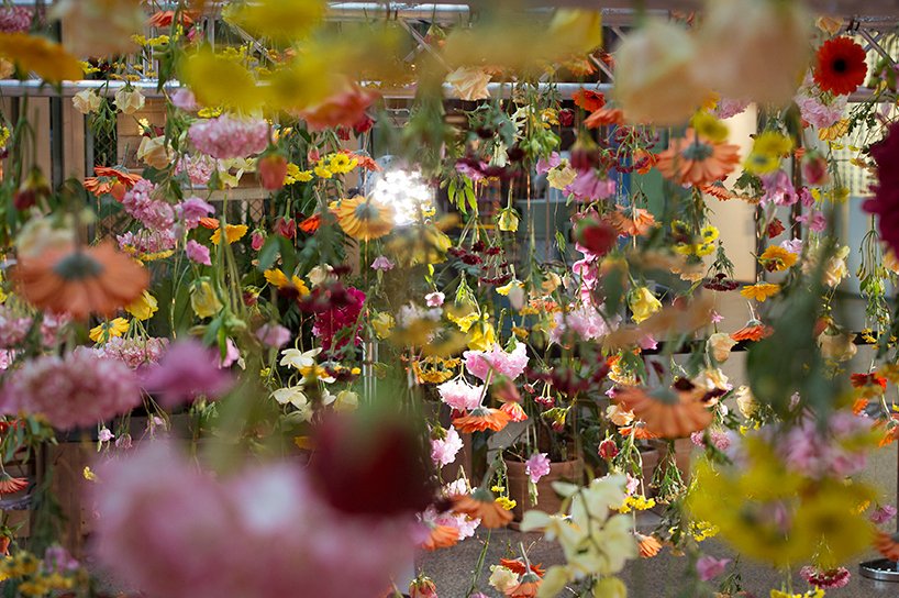 Οι «κρεμαστοί κήποι» του Βερολίνου [εικόνες] | iefimerida.gr 7