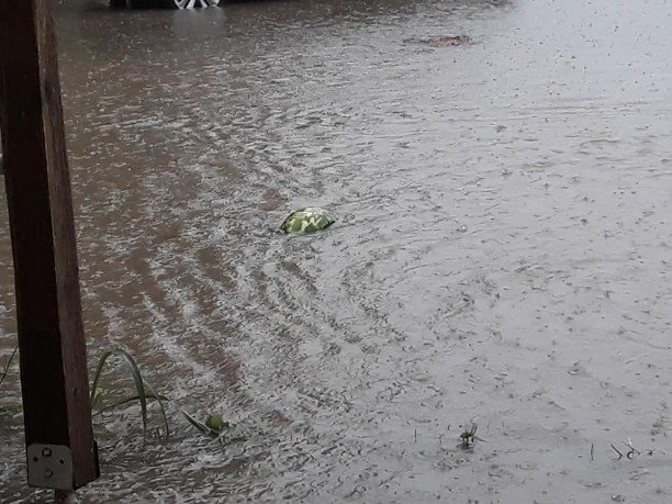 Προβλήματα στην Ημαθία από την ισχυρή βροχόπτωση -Δεκάδες κλήσεις στην Πυροσβεστική [βίντεο] | iefimerida.gr 2