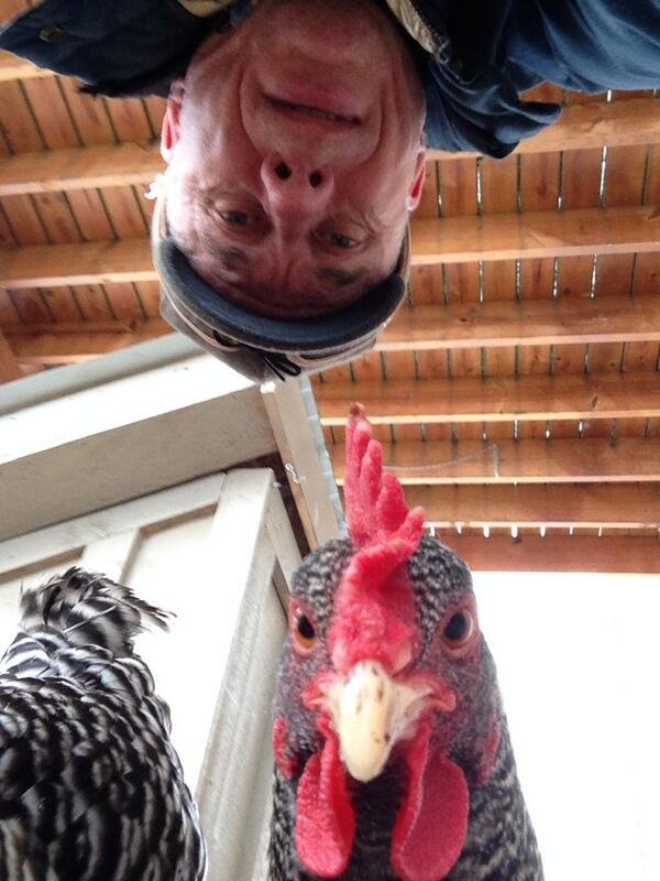 Αυτή είναι η νέα μόδα στις Selfies: Ιρλανδοί αγρότες έβαλαν τα γυαλιά στο Facebook [εικόνες] | iefimerida.gr 9