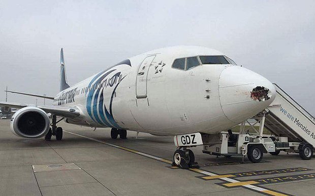 Τρόμος στον αέρα: Μετωπική πουλιού με αεροπλάνο -Καταστράφηκε η μύτη του αεροσκάφους [εικόνες] | iefimerida.gr 1