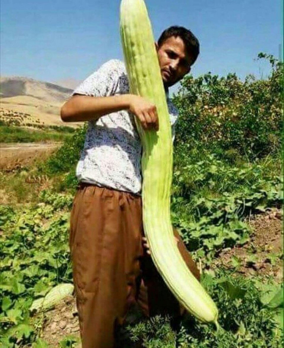 «Θα γράψουμε νέο βιβλίο μετά την έξοδο» -Ο Παπαδημούλης έκανε το Twitter να γελάσει [εικόνες] | iefimerida.gr 0