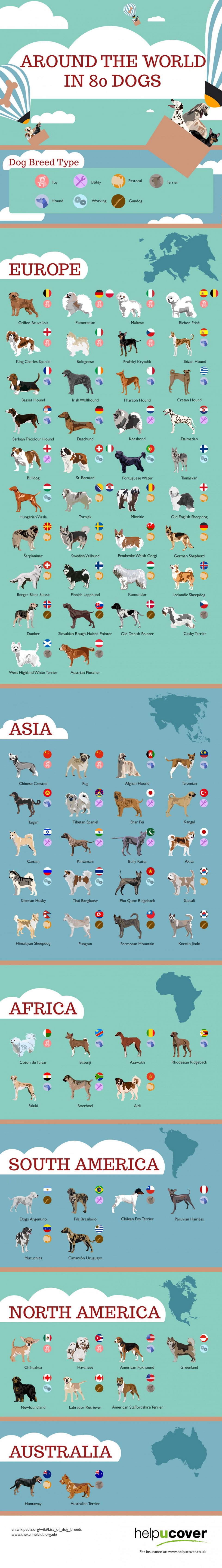 Ο γύρος του κόσμου σε 80... σκύλους: Ποια ράτσα προτιμούν σε κάθε χώρα [εικόνα] | iefimerida.gr 0