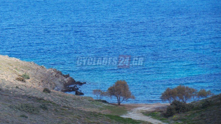 Aυτή είναι η βίλα του ζεύγους Παπαδημητρίου-Αντωνοπούλου στη Σύρο [εικόνες & βίντεο] | iefimerida.gr 4