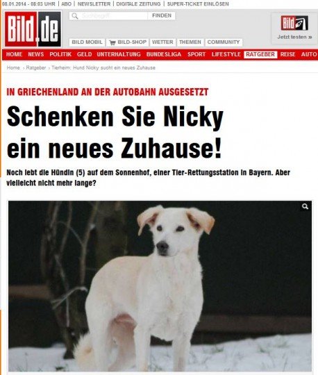 Η Bild κάνει κίτρινη δημοσιογραφία: Οι Ελληνες δεν αγαπούν τα σκυλιά, εμείς σώσαμε τη Νίκη | iefimerida.gr 0