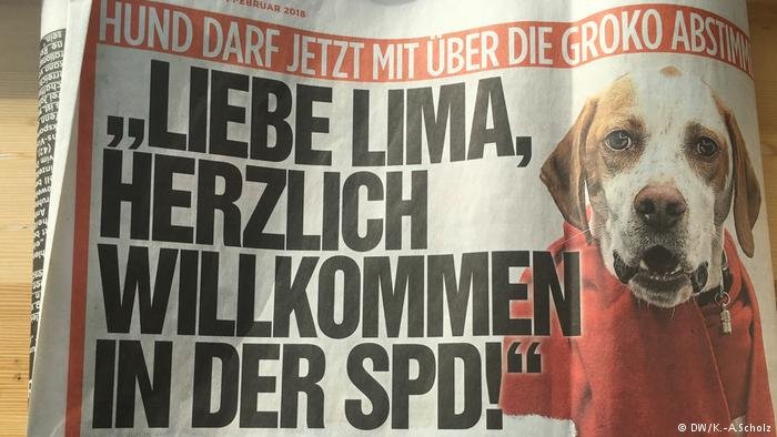 Δύο φορές την «πάτησε» η Bild σε επιθέσεις εναντίον του SPD [εικόνες] | iefimerida.gr 3