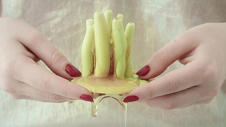 Τέχνη ή φαγητό; Κάπως έτσι θα είναι τροφή μας στο μέλλον [εικόνες]	 | iefimerida.gr 4