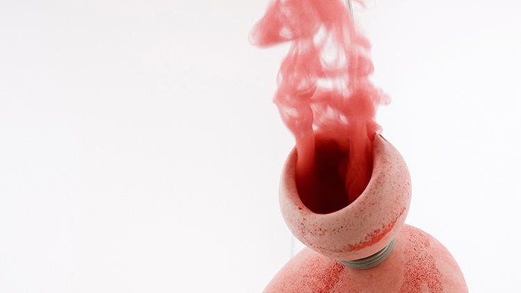 Τέχνη ή φαγητό; Κάπως έτσι θα είναι τροφή μας στο μέλλον [εικόνες]	 | iefimerida.gr 3