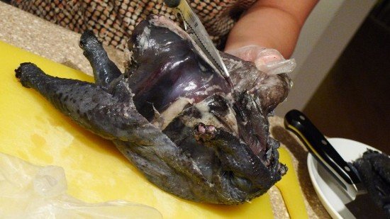 Κι όμως αυτό το αλλόκοτο μαύρο κοτόπουλο αποτελεί εκλεκτό έδεσμα στην Κίνα [εικόνες]  | iefimerida.gr 3