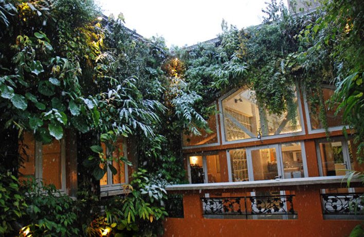 Ζούγκλα κατ' οίκον: Ο βοτανολόγος που έκανε το σπίτι του Αμαζόνιο [εικόνες] | iefimerida.gr 0