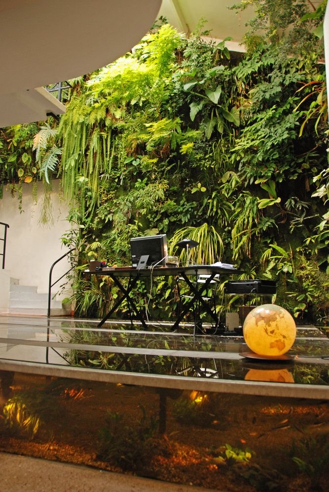 Ζούγκλα κατ' οίκον: Ο βοτανολόγος που έκανε το σπίτι του Αμαζόνιο [εικόνες] | iefimerida.gr 7