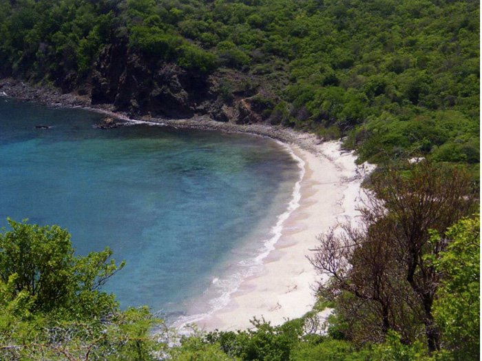 Αυτό το νησί της Καραϊβικής πωλείται μόνο σε Bitcoin [εικόνες] | iefimerida.gr 1