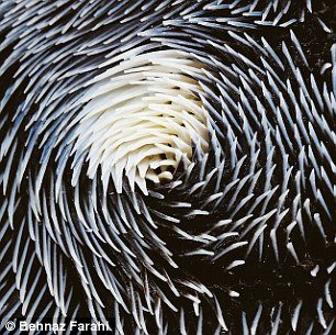 Αυτή η γυναικεία μπλούζα είναι κατασκευασμένη για να τραβάει το βλέμμα των ανδρών [εικόνες] | iefimerida.gr 0