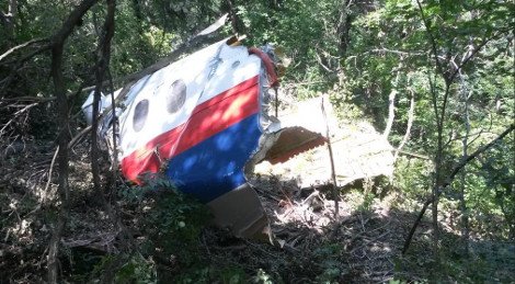 Βρίσκουν συνεχώς διασκορπισμένα συντρίμμια και σορούς από το μοιραίο Boeing στην Ουκρανία [εικόνες] | iefimerida.gr 0