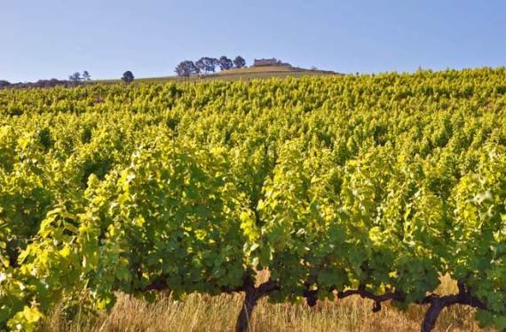 Huffington Post: Η απλή γοητεία της Φολέγανδρου -Ενας από τους 15 κορυφαίους ανεξερεύνητους προορισμούς [εικόνες] | iefimerida.gr 10