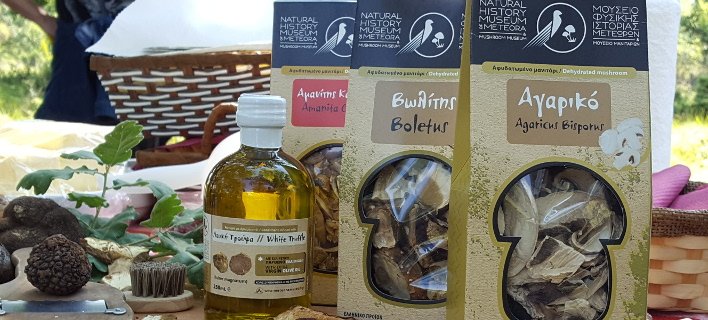 Συνεργασία του μουσείου Μανιταριών Μετεώρων και του ΤΕΙ Θεσσαλίας | iefimerida.gr 1